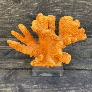 Orange Decorative Coral Sculpture - Home Art